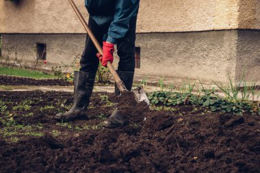 Bahçesini yeni ekilen bitkilere göre düzenleyen bir işçinin ayrıntıları. Tarım hayatı. Her vatandaşın zorunlu el işi.