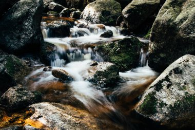 Çek Cumhuriyeti 'nin kuzeyindeki Jizera Dağları' nda saklı olan ve doğal zenginliğin büyük kısmının saklı olduğu pitoresk bir nehrin panoramik görüntüsü. Yosun kaplı taşlar..