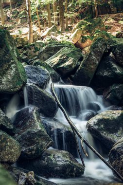 Çek Cumhuriyeti 'nin Jizera Dağları' ndaki Jedlova nehri ve şelaleleri üzerinde yavaşça akan akarsu. Taşların ve kayaların her yarığından su akar. İçme suyu kaynağı.