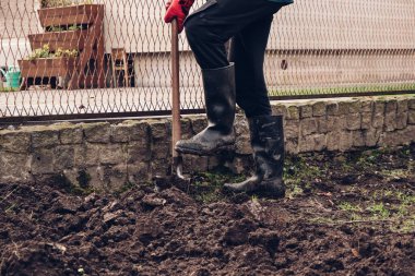 Lastik çizmeli genç adam bahçedeki toprağı kazıyor. Çalışma havası. Daha iyi bir hasat için sonbahar kil dönüşümü.