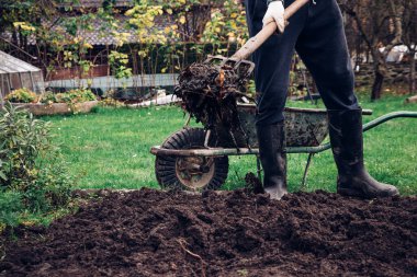 Pasaklı iş kıyafetleri içinde orta yaşlı bir adam pisliğe gübre koyar ve bileşimini geliştirir ve bir sonraki hasat için hazırlar. Köy ağır işçiliği ve ağır işçilik kavramı.
