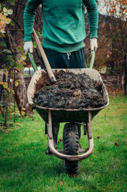Köydeki genç bir adam kendi arazisine gübre dolu bir el arabası sürüyor ve orada toprak verimliliğini ve aşırı dozunu arttırmak için kullanıyor. Peyzaj. Sonbahar Çalışması. İş kıyafetleri.