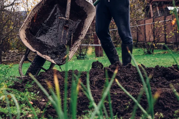 Jardinero Suéter Verde Gomas Derriba Una Carretilla Llena Estiércol Para —  Fotos de Stock