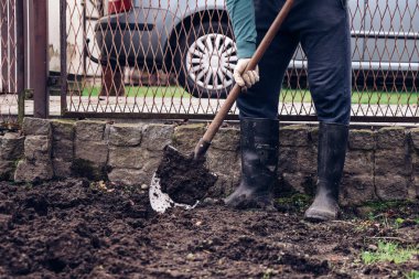 Mavi ceketli genç bahçıvan arazisini sürttü. Gelecek yıl için toprak hazırlığı. Tarıma elverişli toprakların besin yönünü geliştiriyorum. Tarım hayatı kavramı.