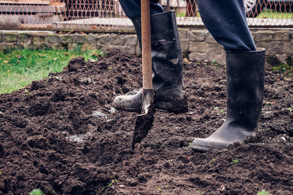 Experienced gardener digs his garden. The young man stands in the muddy ground and makes a special groove for manure. Introducing rural day-to-day work in the countryside.
