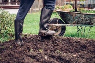 Tecrübeli çiftçi ıslak çamurda daha iyi oluyor. Bahçeyi eşsiz bir aletle oymak. Bir bahçe kazıyorum. Adam ayağını küreği itmek için kullanıyor ve kilin içine sokuyor..