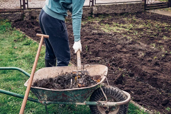 Uomo Mezza Età Abiti Lavoro Scrupolosi Mette Letame Nella Sporcizia — Foto Stock