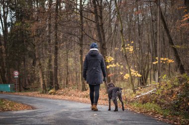 Sadık arkadaşınla birlikte doğduğun yerde dolaş. Ceketli genç bir kız, Çek asıllı bir köpek olan tel saçlı bohem Griffon 'la yolda yürüyor. Vahşi doğada ve kırsalda samimi bir portre.