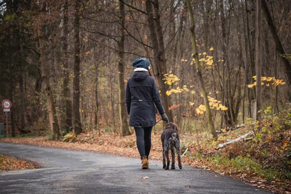 Jovem Mulher Casaco Boné Cabeça Caminha Com Seu Cão Uma — Fotografia de Stock