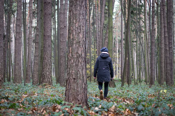 Egy Fiatal Lány Portréja Kabátban Aki Végigsétál Erdőn Megpróbálja Kitisztítani — Stock Fotó