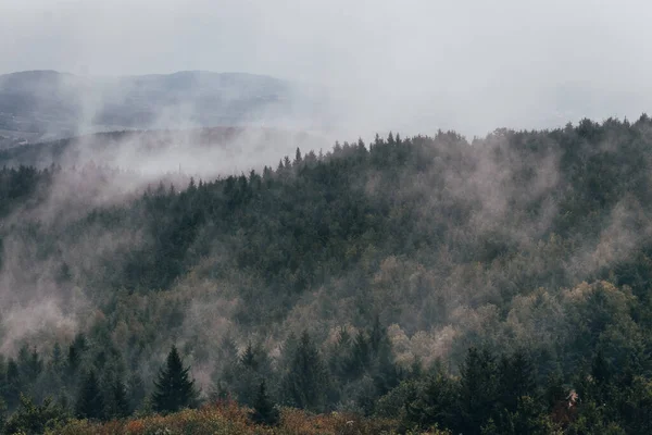 Parotranspiracja Nad Czeskimi Lasami Odparowanie Wody Lasów Świerkowych Pobliżu Liberca — Zdjęcie stockowe