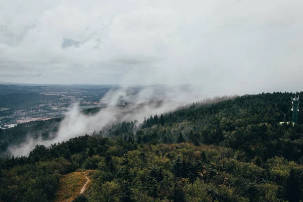 Verdunstung Von Wasser Aus Den Wäldern Nordböhmen Fließender Nebel Gipfel — Stockfoto