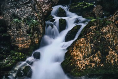 Golling an der Salzach, Avusturya yakınlarındaki Gollinger Wasserfalls 'a uzun süre maruz kalmıştır. Büyük bir su akıntısı kayaların ve kayaların üzerine fışkırıyor. Avusturya 'da çok önemli bir turistik yer.