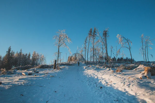Περπατήστε Μέσα Από Ένα Όμορφο Χιονισμένο Τοπίο Στα Βουνά Beskydy — Φωτογραφία Αρχείου