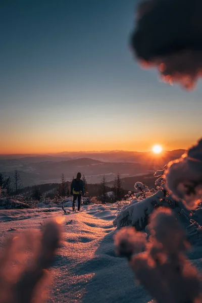 Παρακολουθώντας Την Ανατολή Του Ηλίου Πίσω Από Κλαδιά Ερυθρελάτης Χειμώνα — Φωτογραφία Αρχείου