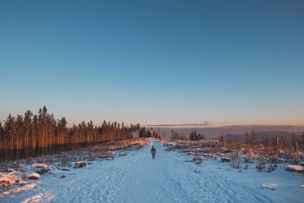 一幅美丽的冬季风景的全景 在山顶上 一条踩得很好的小径 一个旅行者在日出时走过这条小径 天空蓝蓝的 橙色的色调照亮了白雪 — 图库照片