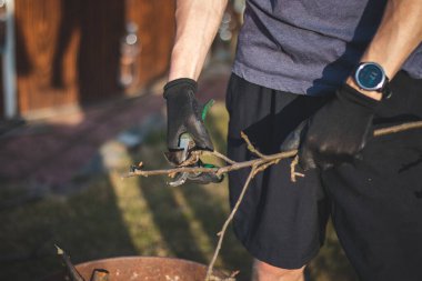 Orta yaşlı bir adamın eli ve iş aletini tuttuğu siyah eldivenin ayrıntıları. Bir çift makasla. Fiziksel faaliyeti gösteren izle.