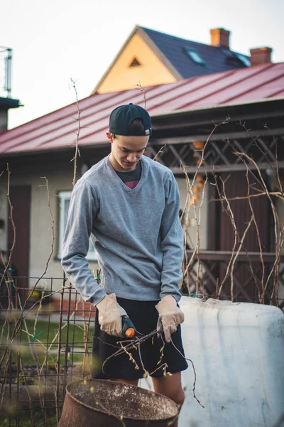 Swarthy boy of European descent with work gloves and special garden shears cuts branches into a barrel for later processing and burning on the fireplace. Starting work in the garden