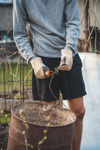 Detalle Del Despliegue Joven Trabajador Temporal Entorno Forestal Mientras Corta —  Fotos de Stock