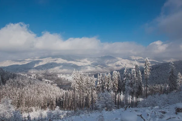 Idílio Inverno Nas Montanhas Checas Europa Terras Arborizadas Cobertas Neve — Fotografia de Stock