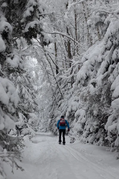 cross-country skier enjoys riding in a snowy forest, but making his own track. Cross-country skiing season. Winter sports lifestyle. Winter idyll.