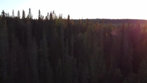 フィンランドのカイヌーにあるヘポコンガスの滝の上の日没 オレンジ色の光線は美しいフィンランドのトウヒの森を照らす 見ることができる限りの荒野 4Kビデオ — ストック動画