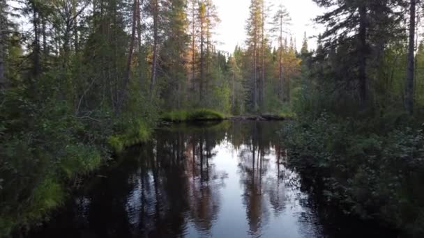 Adembenemende Opname Van Hepokongas Waterval Het Kainuu Gebied Van Finland — Stockvideo