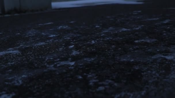 Сильний Вітер Дме Пластівців Снігу Летять Замерзлій Тротуарі Зимова Погода — стокове відео