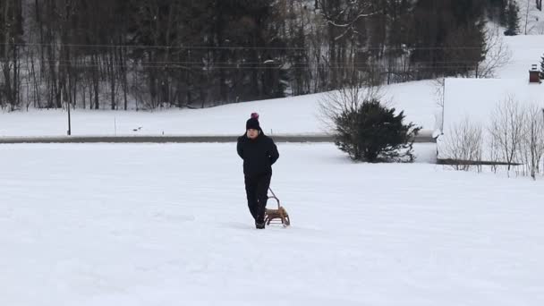 Menino Roupas Pretas Inverno Puxa Trenó Para Topo Encosta Desfrutando — Vídeo de Stock