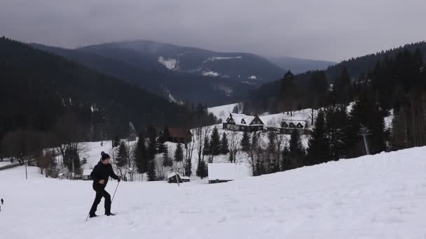 身穿黑色运动服的人拿着户外的杆子在雪地里爬行 欣赏山谷的美景 冬季徒步旅行别斯基底山体验历险 — 图库视频影像