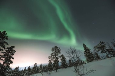 Kuzey Norveç 'in Malangen bölgesinde Aurora Borealis' in sihirli yeşil şeridi, kuzey fantezisi. Dünya 'dan gözlemlenebilen astronomik bir fenomen