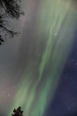 Kuzey Norveç 'in Malangen bölgesinde Aurora Borealis' in sihirli yeşil şeridi, kuzey fantezisi. Dünya 'dan gözlemlenebilen astronomik bir fenomen