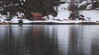 Kuzey Norveç 'teki Vestfjorden' in soğuk mavi sularında vahşi fok yüzer. Kuzey Kutbu 'ndaki doğal fiyort doğal yaşam alanı Lofoten kıyısı yakınlarında.