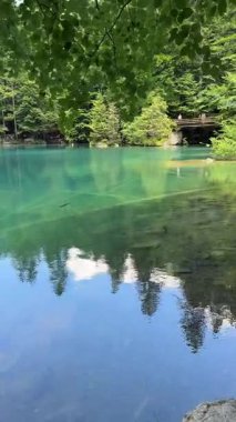 İsviçre 'deki kristal berraklığında Blausee Gölü, suyun o kadar şeffaf ki aşağıda yüzen balıkları görebilirsiniz. Saf dağlık doğa, huzurlu atmosfer ve çarpıcı doğal güzellik. Kandergrund 