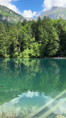 İsviçre 'deki kristal berraklığında Blausee Gölü, suyun o kadar şeffaf ki aşağıda yüzen balıkları görebilirsiniz. Saf dağlık doğa, huzurlu atmosfer ve çarpıcı doğal güzellik. Kandergrund 