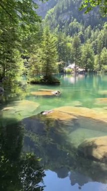 İsviçre 'deki kristal berraklığında Blausee Gölü, suyun o kadar şeffaf ki aşağıda yüzen balıkları görebilirsiniz. Saf dağlık doğa, huzurlu atmosfer ve çarpıcı doğal güzellik. Kandergrund 
