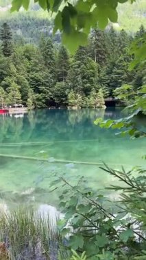 İsviçre 'deki kristal berraklığında Blausee Gölü, suyun o kadar şeffaf ki aşağıda yüzen balıkları görebilirsiniz. Saf dağlık doğa, huzurlu atmosfer ve çarpıcı doğal güzellik. Kandergrund 