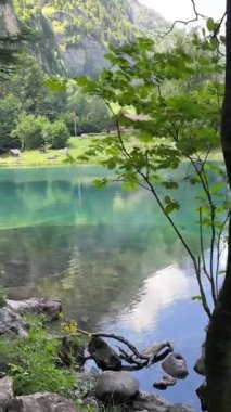 İsviçre 'deki kristal berraklığında Blausee Gölü, suyun o kadar şeffaf ki aşağıda yüzen balıkları görebilirsiniz. Saf dağlık doğa, huzurlu atmosfer ve çarpıcı doğal güzellik. Kandergrund 