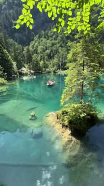 İsviçre 'deki kristal berraklığında Blausee Gölü, suyun o kadar şeffaf ki aşağıda yüzen balıkları görebilirsiniz. Saf dağlık doğa, huzurlu atmosfer ve çarpıcı doğal güzellik. Kandergrund 