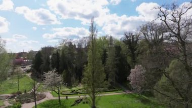 Summer panorama of Viborg, Midtjylland, Denmark. Aerial skyline view of the old town. Viborg ancient cathedral in the middle of Denmark, Traditional danish architecture. Street in Viborg, 