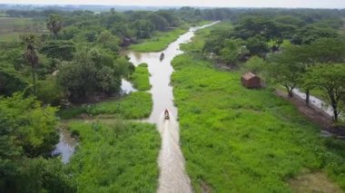 Tropikal mangrov ormanları boyunca nehirlerde yüzen teknelerin hava görüntüsü, güzel bir mangrov ormanındaki bir kanalda yelken açan bir balıkçı teknesi. Asya. Sinematik hava görüntüsü