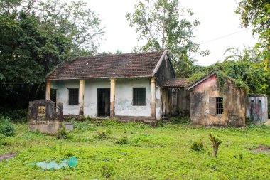 Vietnam orman büyüme ile bina kalıntıları.