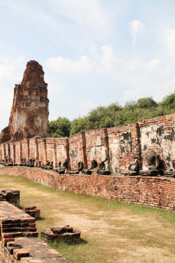 Ayutthaya Eski Şehir Tapınağı