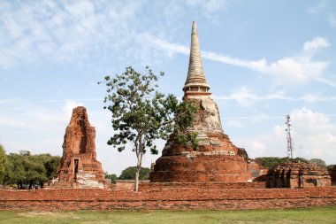 Eski şehir Ayutthaya, Tayland tapınak