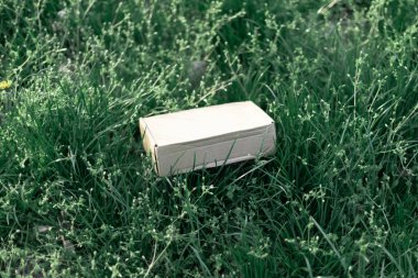 Kapalı düz dikdörtgen karton kutu taze yeşil çimlerin üzerinde yatıyor. En düşük eko paketleme modellemesi