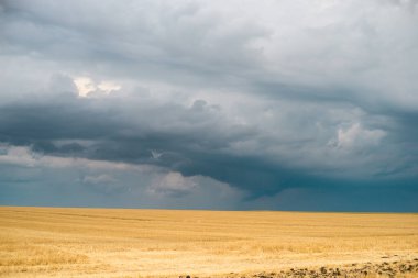 Bir buğday tarlası üzerinde fırtına bulutları, uzaktan bir kasırga görülebilir..