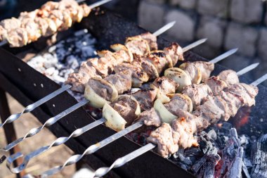 fotoğraf dışında domuz eti barbeküsü doğada magal üzerine.