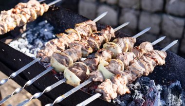 fotoğraf dışında domuz eti barbeküsü doğada magal üzerine.