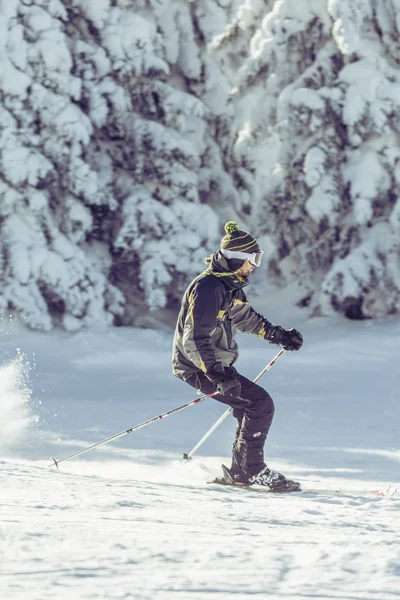 Kayakçı Kayak yokuş aşağı gidiyor