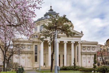 Bükreş Romanya athenaeum